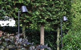 parker path royal botania led