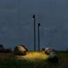 Dexter vector pole zwart led tuinextra