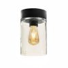 Tesla plafondlamp royal botania zwart led buitenverlichting