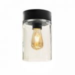 Tesla plafondlamp royal botania zwart led buitenverlichting