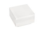 Buitenlamp TU0018 wit LED
