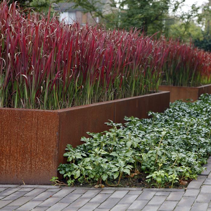 Bloembak cortenstalen plantenbakken rechthoekig tuinextra kaatsheuvel