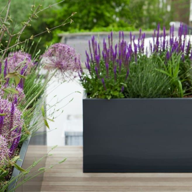 Scheiden Alice Geloofsbelijdenis Plantenbak rechthoekig kunststof polyester antraciet 200x50x50cm wielen Scheiden Alice Geloofsbelijdenis Plantenbak rechthoekig kunststof polyester antraciet 200x50x50cm wielen