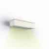 Roger pradier plemo model 1 downlight buitenlamp TuinExtra kaatsheuvel buitenverlichting