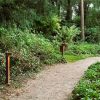 c2s 80 cm gardd buitenverlichting padverlichting tuinextra