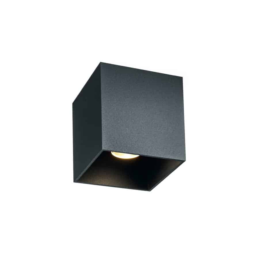 Wever & Ducré BOX 1.0 plafondlamp in de kleur antracietgrijs - Tuinextra buitenverlichting